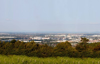 Wien 1