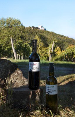 Wein pur - Martina Konrad_Murphy.jpg